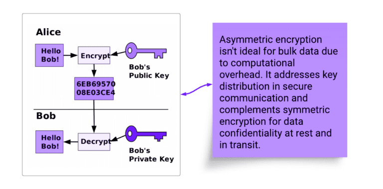 Securing Data at Rest and in Transit: Exploring Cryptographic ...